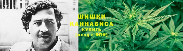 spice Аркадак