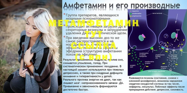 spice Аркадак