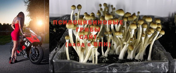 мдма Слюдянка