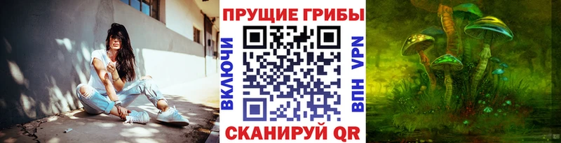 купить наркотик  Осташков  Галлюциногенные грибы мицелий 
